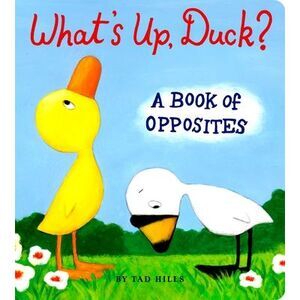 What's Up, Duck?: A Book of Opposites -- Tad Hills